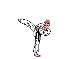 sport.gif (10676 octets)